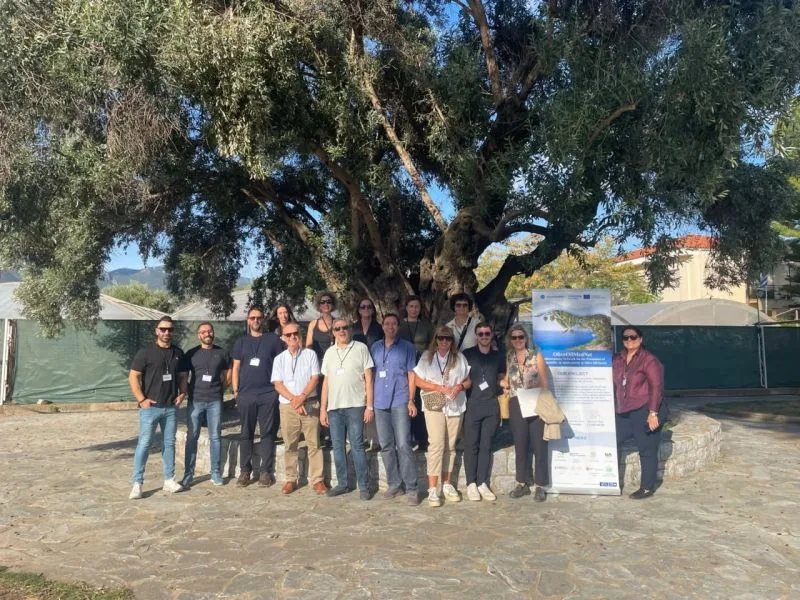 Les partenaires du projet OliveOilMedNet réunis devant un olivier lors de la rencontre à Kalamata.